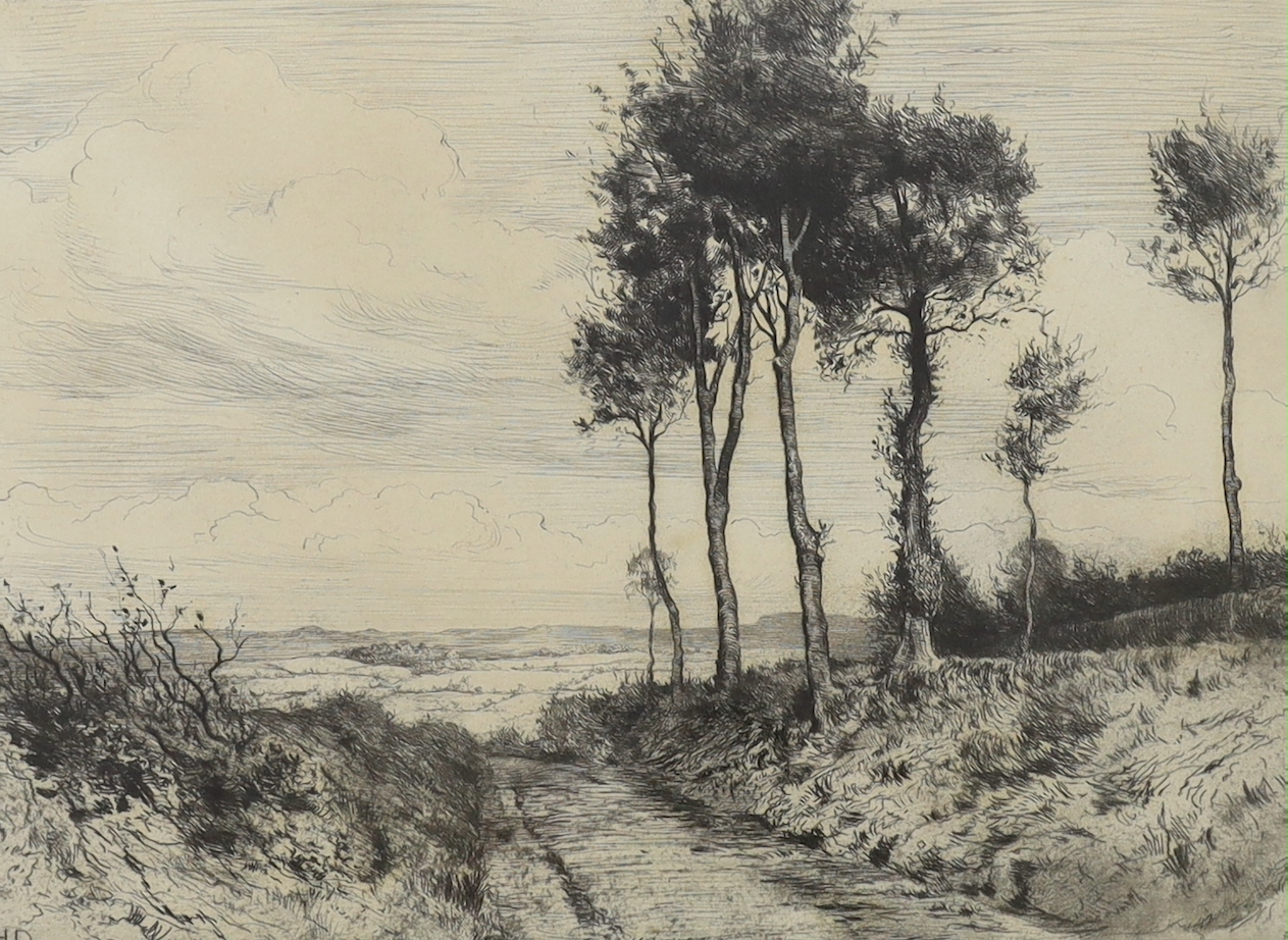 Herbert Dicksee (1862-1942), etching, 'Shaldon Lane', signed in pencil, 28 x 37cm